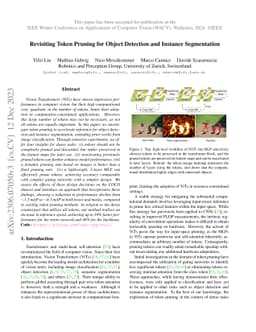 Revisiting Token Pruning for Object Detection and Instance Segmentation