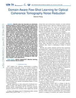 Domain-Aware Few-Shot Learning for Optical Coherence Tomography Noise
  Reduction