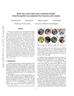 What can a cook in Italy teach a mechanic in India? Action Recognition
  Generalisation Over Scenarios and Locations