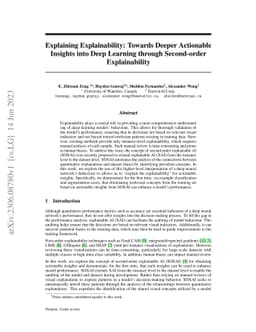 Explaining Explainability: Towards Deeper Actionable Insights into Deep
  Learning through Second-order Explainability