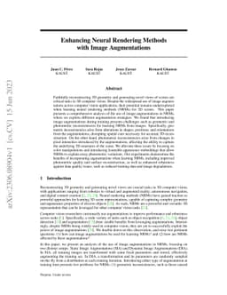 Enhancing Neural Rendering Methods with Image Augmentations