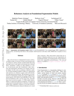 Robustness Analysis on Foundational Segmentation Models