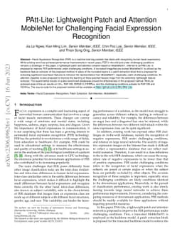PAtt-Lite: Lightweight Patch and Attention MobileNet for Challenging
  Facial Expression Recognition