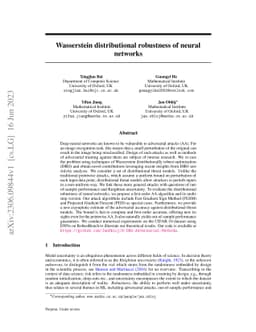 Wasserstein distributional robustness of neural networks