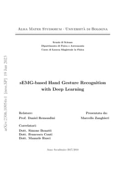 sEMG-based Hand Gesture Recognition with Deep Learning