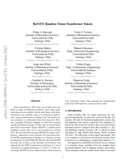 RaViTT: Random Vision Transformer Tokens