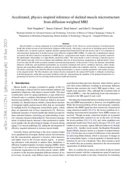 Accelerated, physics-inspired inference of skeletal muscle
  microstructure from diffusion-weighted MRI