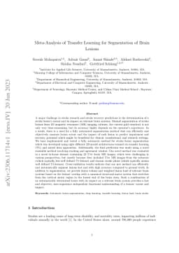 Meta-Analysis of Transfer Learning for Segmentation of Brain Lesions