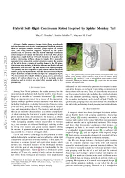 Hybrid Soft-Rigid Continuum Robot Inspired by Spider Monkey Tail