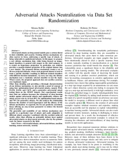 Adversarial Attacks Neutralization via Data Set Randomization