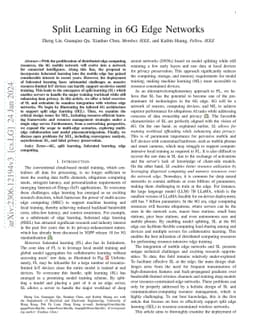 Split Learning in 6G Edge Networks