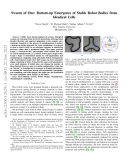 Swarm of One: Bottom-up Emergence of Stable Robot Bodies from Identical
  Cells