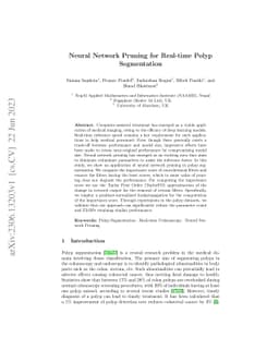 Neural Network Pruning for Real-time Polyp Segmentation