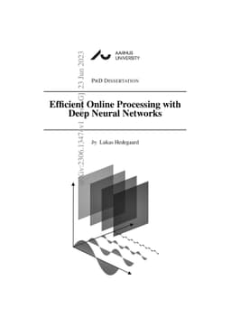 Efficient Online Processing with Deep Neural Networks