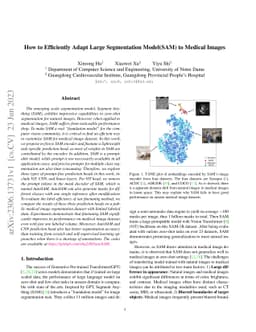 How to Efficiently Adapt Large Segmentation Model(SAM) to Medical Images