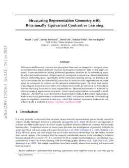 Structuring Representation Geometry with Rotationally Equivariant
  Contrastive Learning