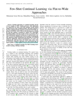 Few-Shot Continual Learning via Flat-to-Wide Approaches