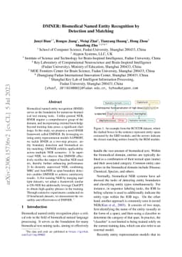 DMNER: Biomedical Entity Recognition by Detection and Matching