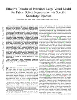 Effective Transfer of Pretrained Large Visual Model for Fabric Defect
  Segmentation via Specifc Knowledge Injection