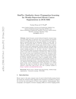 SimPLe: Similarity-Aware Propagation Learning for Weakly-Supervised
  Breast Cancer Segmentation in DCE-MRI
