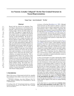 Are Neurons Actually Collapsed? On the Fine-Grained Structure in Neural
  Representations