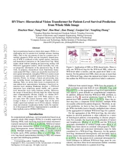 HVTSurv: Hierarchical Vision Transformer for Patient-Level Survival
  Prediction from Whole Slide Image