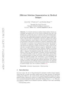 Efficient Subclass Segmentation in Medical Images