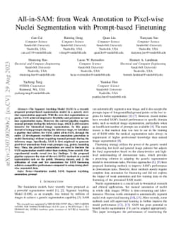 All-in-SAM: from Weak Annotation to Pixel-wise Nuclei Segmentation with
  Prompt-based Finetuning