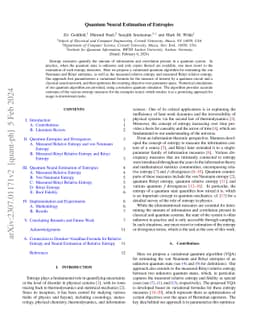 Quantum Neural Estimation of Entropies