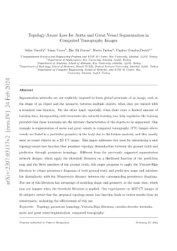 Topology-Aware Loss for Aorta and Great Vessel Segmentation in Computed
  Tomography Images