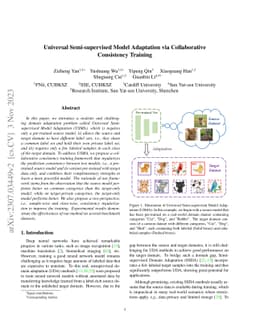 Universal Semi-supervised Model Adaptation via Collaborative Consistency
  Training