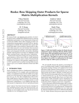 Rosko: Row Skipping Outer Products for Sparse Matrix Multiplication
  Kernels