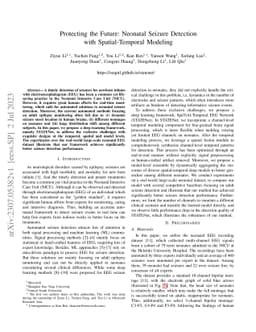 Protecting the Future: Neonatal Seizure Detection with Spatial-Temporal
  Modeling