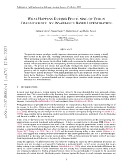 What Happens During Finetuning of Vision Transformers: An Invariance
  Based Investigation