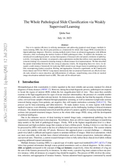 The Whole Pathological Slide Classification via Weakly Supervised
  Learning