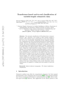 Transformer-based end-to-end classification of variable-length
  volumetric data