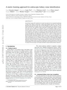 A metric learning approach for endoscopic kidney stone identification