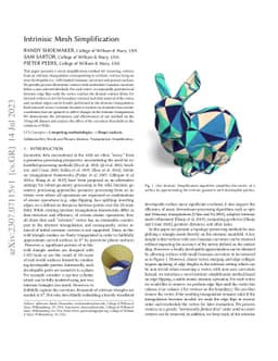 Intrinsic Mesh Simplification