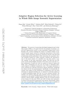 Adaptive Region Selection for Active Learning in Whole Slide Image
  Semantic Segmentation