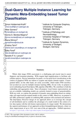 Dual-Query Multiple Instance Learning for Dynamic Meta-Embedding based
  Tumor Classification