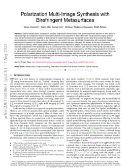 Polarization Multi-Image Synthesis with Birefringent Metasurfaces