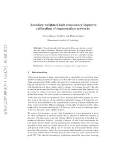 Boundary-weighted logit consistency improves calibration of segmentation
  networks