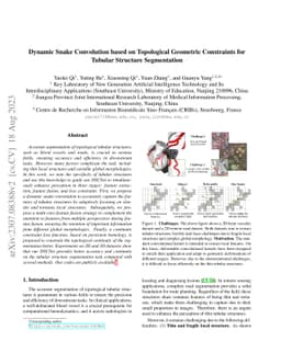 Dynamic Snake Convolution based on Topological Geometric Constraints for
  Tubular Structure Segmentation