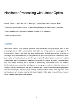 Nonlinear Processing with Linear Optics