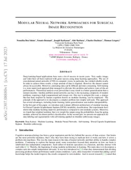 Modular Neural Network Approaches for Surgical Image Recognition