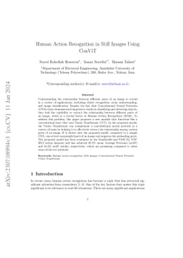 Human Action Recognition in Still Images Using ConViT