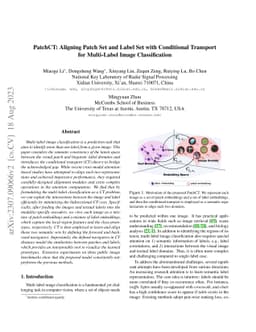 PatchCT: Aligning Patch Set and Label Set with Conditional Transport for
  Multi-Label Image Classification