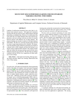Multi-view self-supervised learning for multivariate variable-channel
  time series