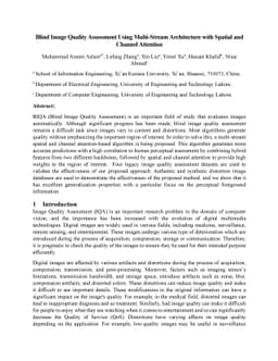 Blind Image Quality Assessment Using Multi-Stream Architecture with
  Spatial and Channel Attention