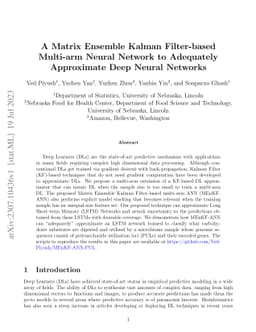 A Matrix Ensemble Kalman Filter-based Multi-arm Neural Network to
  Adequately Approximate Deep Neural Networks